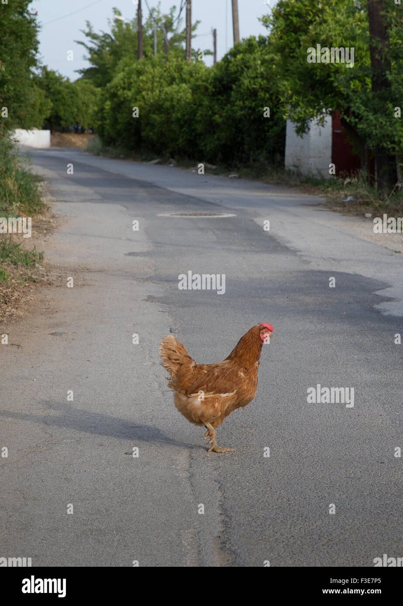 Chicken road gokspel in Netherlands